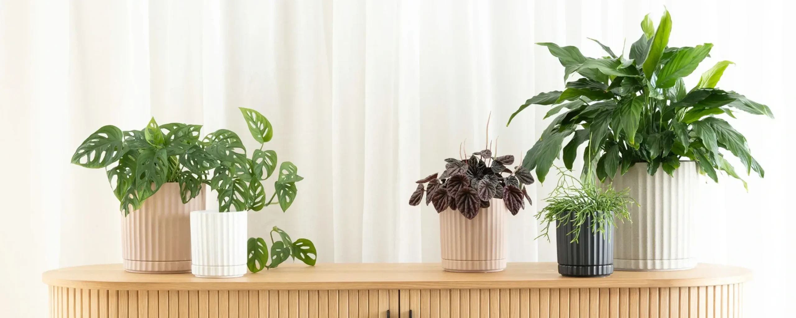 Vigoro Shop -Vigoro Shop potted indoor pots and planters polly and co banner scaled